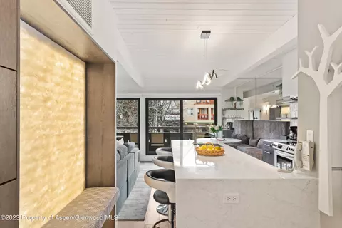 617 E Cooper Avenue Unit 116 Aspen Co 81611, Aspen, CO 81611