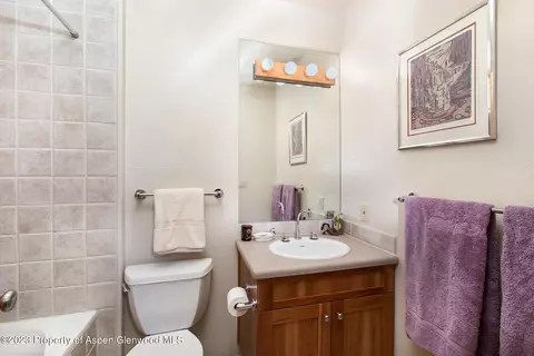 764 Promontory Lane Basalt Co 81621 Ln, Basalt, CO 81621 photo 27