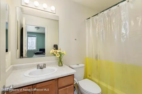 618 Lakeside Drive Basalt Co 81621 Dr, Basalt, CO 81621 photo 7