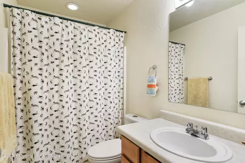618 Lakeside Drive Basalt Co 81621 Dr, Basalt, CO 81621 photo 8