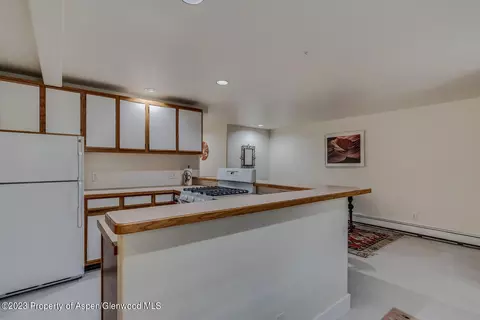803 Kestrel Court Basalt Co 81621 Ct, Basalt, CO 81621 photo 48