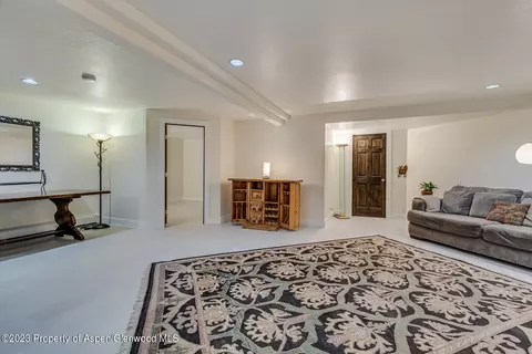 803 Kestrel Court Basalt Co 81621 Ct, Basalt, CO 81621 photo 43