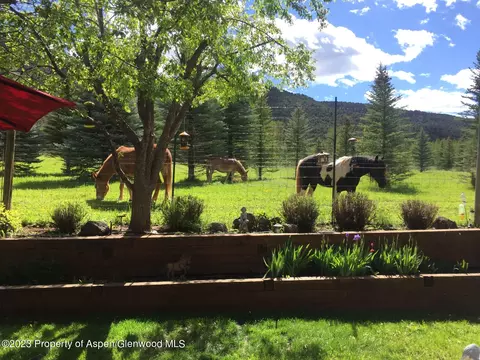 803 Kestrel Court Basalt Co 81621 Ct, Basalt, CO 81621 photo 10