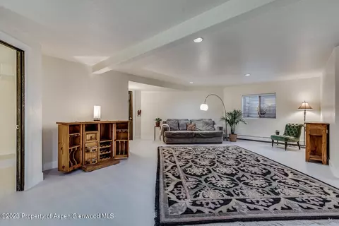803 Kestrel Court Basalt Co 81621 Ct, Basalt, CO 81621 photo 45