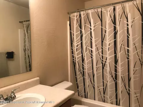 608 Lakeside Drive Basalt Co 81621 Dr, Basalt, CO 81621 photo 9