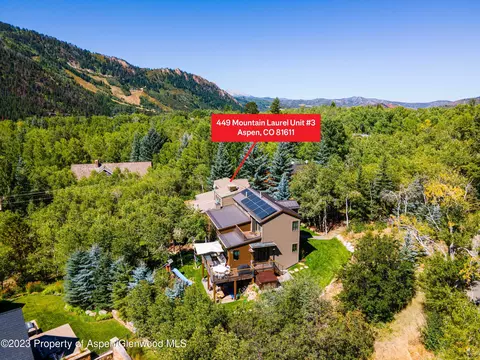 449 Mountain Laurel Drive Unit 3 Aspen Co 81611 Dr UNIT 3, Aspen, CO 81611