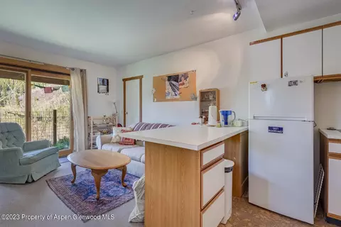 903 Mclaughlin Lane Basalt Co 81621 Ln, Basalt, CO 81621 photo 16