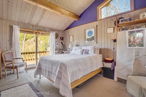 903 Mclaughlin Lane Basalt Co 81621 Ln, Basalt, CO 81621 photo 10
