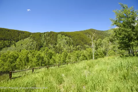903 Mclaughlin Lane Basalt Co 81621 Ln, Basalt, CO 81621 photo 28