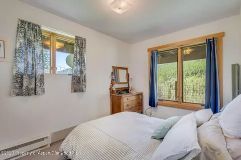 903 Mclaughlin Lane Basalt Co 81621 Ln, Basalt, CO 81621 photo 12