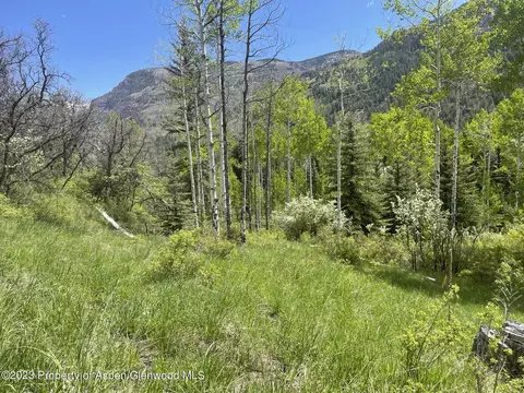 134 Bear Creek Lane Redstone Co 81623 Ln, Redstone, CO 81623