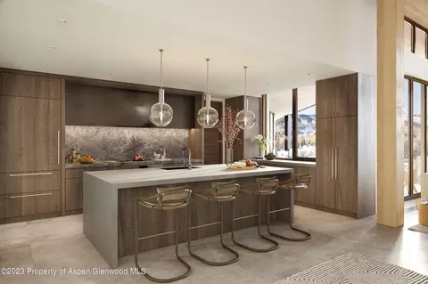 180 Wood Road 303 Snowmass Village Co 81615 #303, Snowmass Village, CO 81615