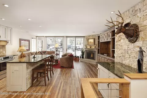 800 E Hopkins Avenue A2 Aspen Co 81611 Ave #A2, Aspen, CO 81611