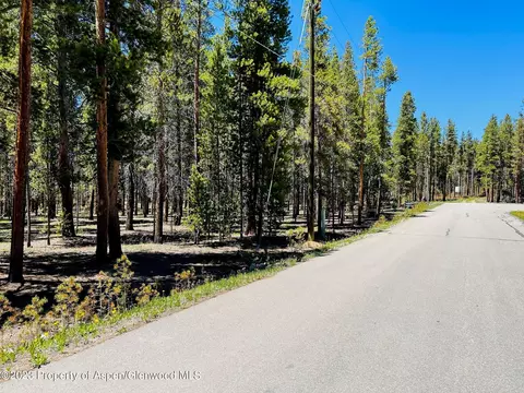 257 Tabor Drive Leadville Co 80461 Dr, Leadville, CO 80461