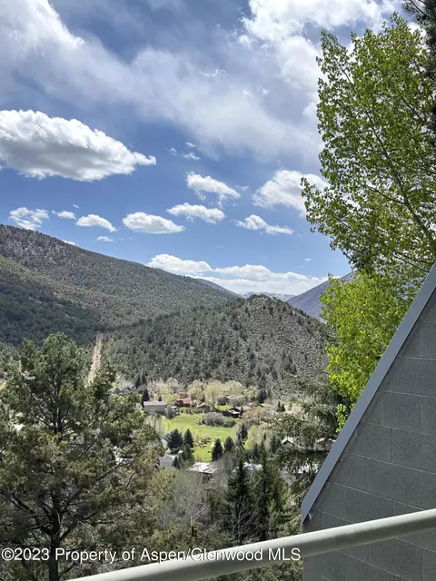 805 Pinon Drive 10 Basalt Co 81621 Dr #10, Basalt, CO 81621 photo 17
