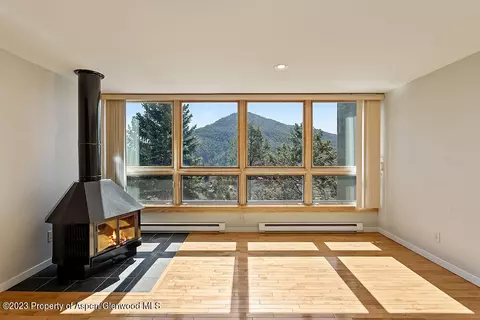 805 Pinon Drive 10 Basalt Co 81621, Basalt, CO 81621