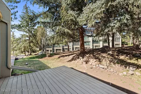 805 Pinon Drive 10 Basalt Co 81621 Dr #10, Basalt, CO 81621 photo 5