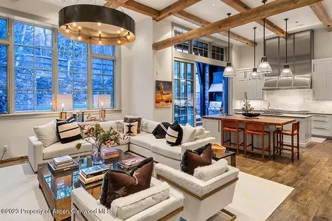 861 Ute Avenue Aspen Co 81611 Ave, Aspen, CO 81611