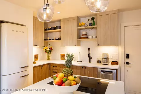 819 E Hyman Avenue Apt 7 Aspen Co 81611 Ave # 7, Aspen, CO 81611