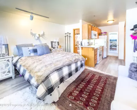 900 E Hopkins Avenue 2 Aspen Co 81611 Ave #2, Aspen, CO 81611