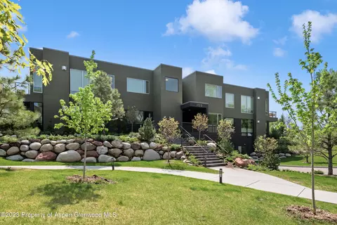 103 Willits Way 203 Basalt Co 81621 Way #203, Basalt, CO 81621 photo 13