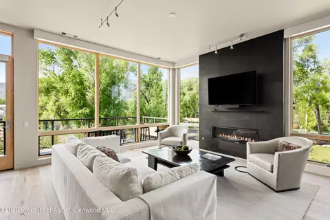 103 Willits Way 203 Basalt Co 81621, Basalt, CO 81621