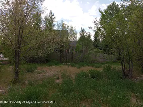 0339 Sopris Circle Basalt Co 81621 Cir, Basalt, CO 81621