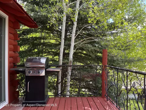 209 E Hill Street Marble Co 81623 St, Marble, CO 81623 photo 9