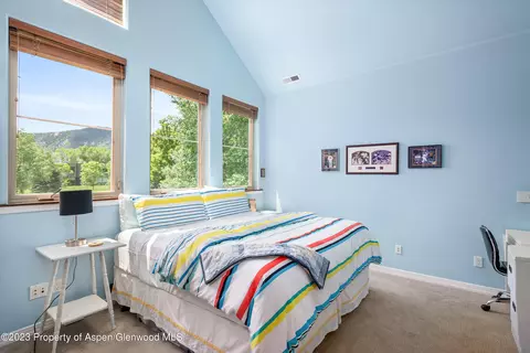 527 Lake Court Basalt Co 81621 Ct, Basalt, CO 81621 photo 14