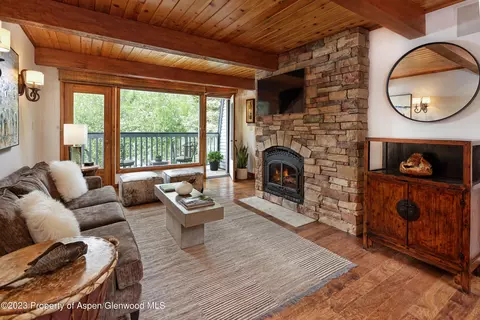 916 E Hopkins Avenue 301 Aspen Co 81611 Ave #301, Aspen, CO 81611