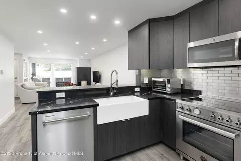830 E Hopkins Avenue 101 Aspen Co 81611, Aspen, CO