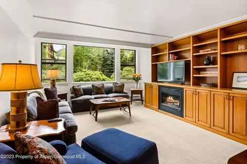 1011 Vine Street Aspen Co 81611, Aspen, CO 81611