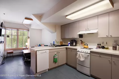 115 Boomerang Road 5402 Aspen Co 81611, Aspen, CO 81611