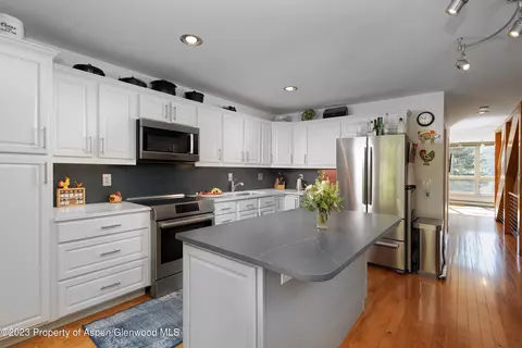 805 Pinon Drive Unit Apt 11 Basalt Co 81621 Drive Apt Unit UNIT 11, Basalt, CO 81621 photo 3