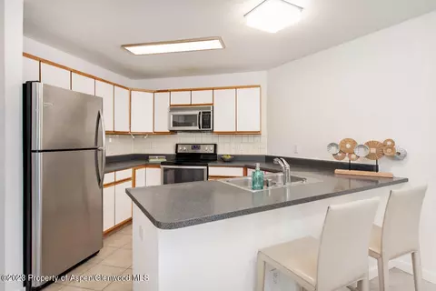 8102 Elk Lane Basalt Co 81621 Ln, Basalt, CO 81621 photo 10