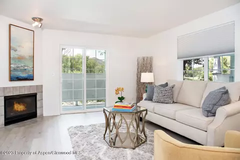 8102 Elk Lane Basalt Co 81621 Ln, Basalt, CO 81621