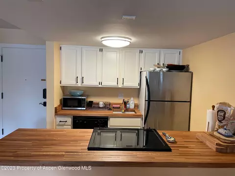 213 Vine Street 213 Aspen Co 81611 St #213, Aspen, CO 81611