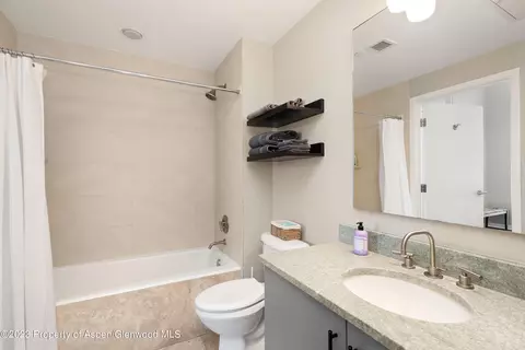 361 Robinson Street 312 Basalt Co 81621 St #312, Basalt, CO 81621 photo 5