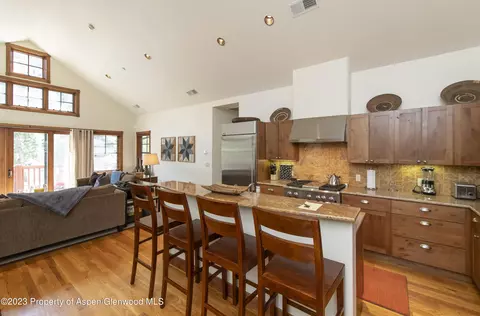 507 W Main Street C-201 Aspen Co 81611 St #C-201, Aspen, CO 81611