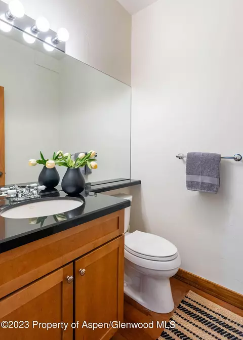 304 Summerset Lane Unit A Basalt Co 81621 Ln UNIT A, Basalt, CO 81621 photo 18