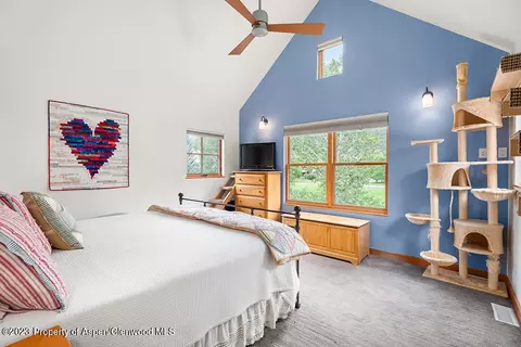 340 Sopris Circle Basalt Co 81621 Cir, Basalt, CO 81621 photo 13