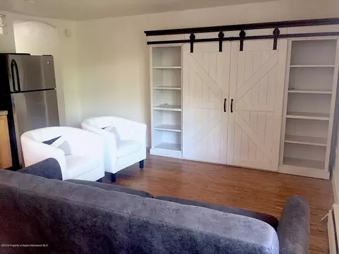 700 S Monarch Street 108 Aspen Co 81611 St #108, Aspen, CO 81611