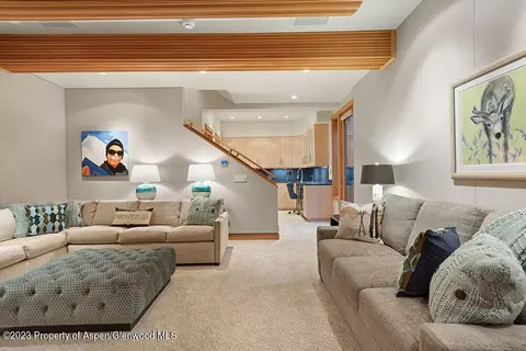 67 Bishop Drive Basalt Co 81621 Dr, Basalt, CO 81621 photo 45
