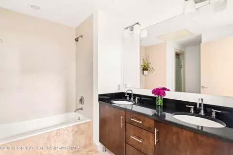 361 Robinson Street 326 Basalt Co 81621 St #326, Basalt, CO 81621 photo 5