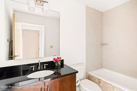 361 Robinson Street 326 Basalt Co 81621 St #326, Basalt, CO 81621 photo 7