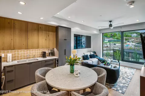 119 Wood Road 207 Snowmass Village Co 81615 Rd #207, Snowmass Village, CO 81615