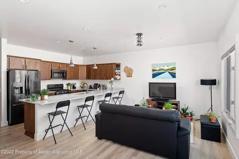 111 Village Lane Carbondale Co 81623 Ln, Carbondale, CO 81623