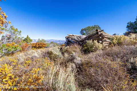 tbd 52 510 Road Collbran Co 81624, Collbran, CO 81624