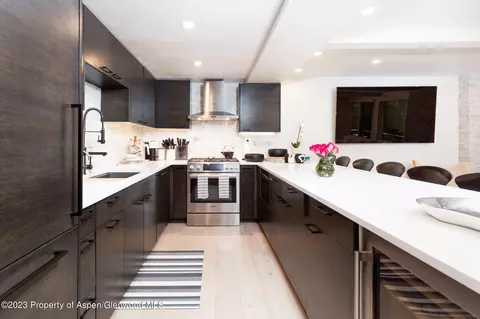 700 S Ute Avenue 502 Aspen Co 81611 Ave #502, Aspen, CO 81611