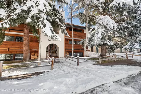 935 E Hopkins Avenue Aspen Co 86 Ave #1, Aspen, CO 81611